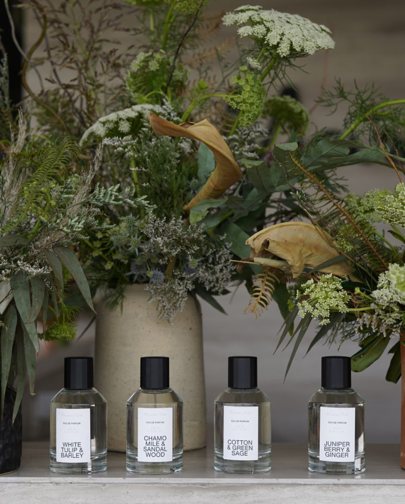 influence marketing plan Massimo Dutti